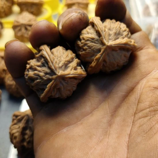 德****核桃36盘山三棱核桃