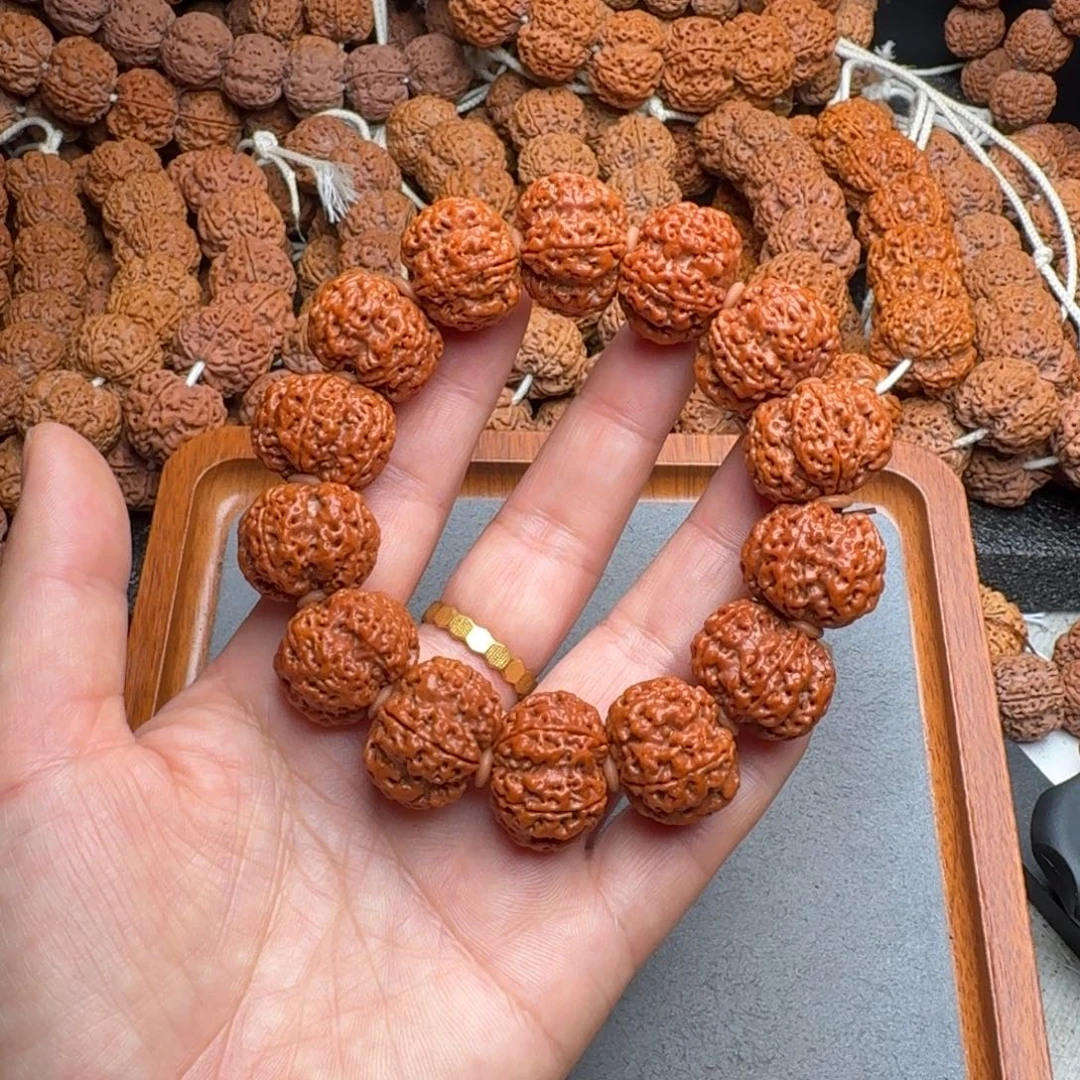 菩提菩提4号尼泊尔大金刚22梅花五龙