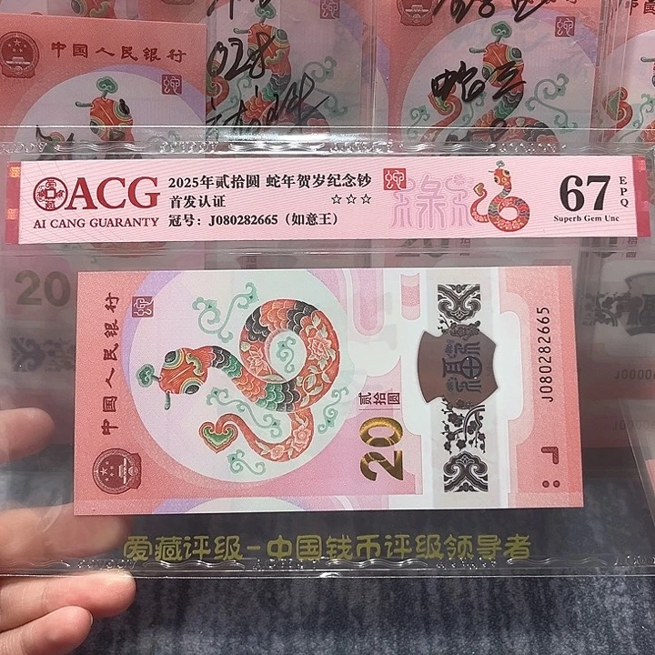 塑料080282665。。。。。。。。。。
