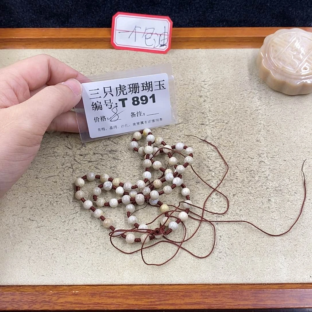 硅化珊瑚（珊瑚玉）1未镶嵌