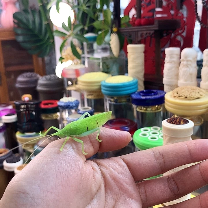 3**k一只翡中哈哈哈哈哈哈哈哈