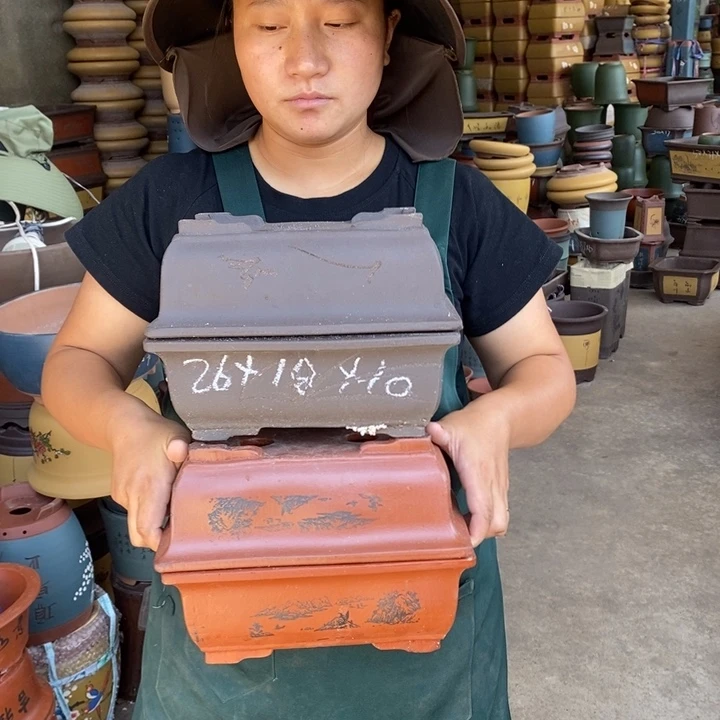 紫砂花盆盆栽花卉苗木