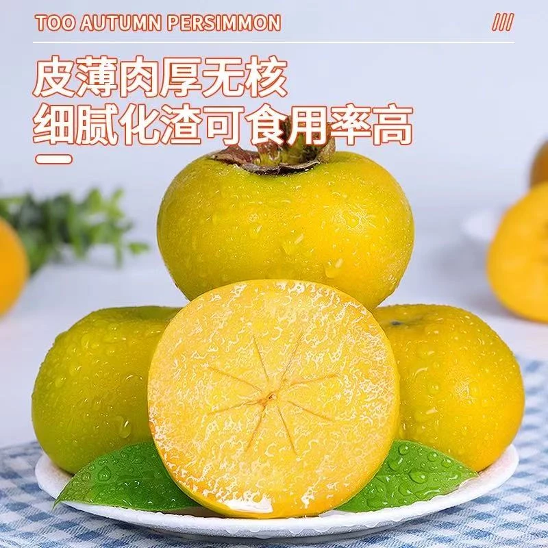 正宗脆柿子巧克力柿子新鲜水果当季脆甜硬柿子无核火晶柿黄甜柿