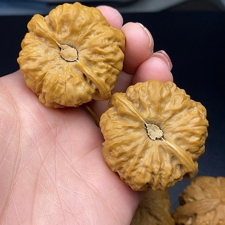 吊坠龙脊菩提蛙43加