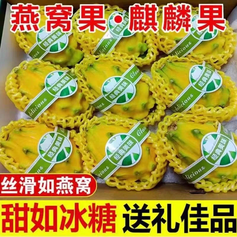 正宗海南种植高端贵族燕窝麒麟水果新鲜现摘现发香甜软糯多汁美味