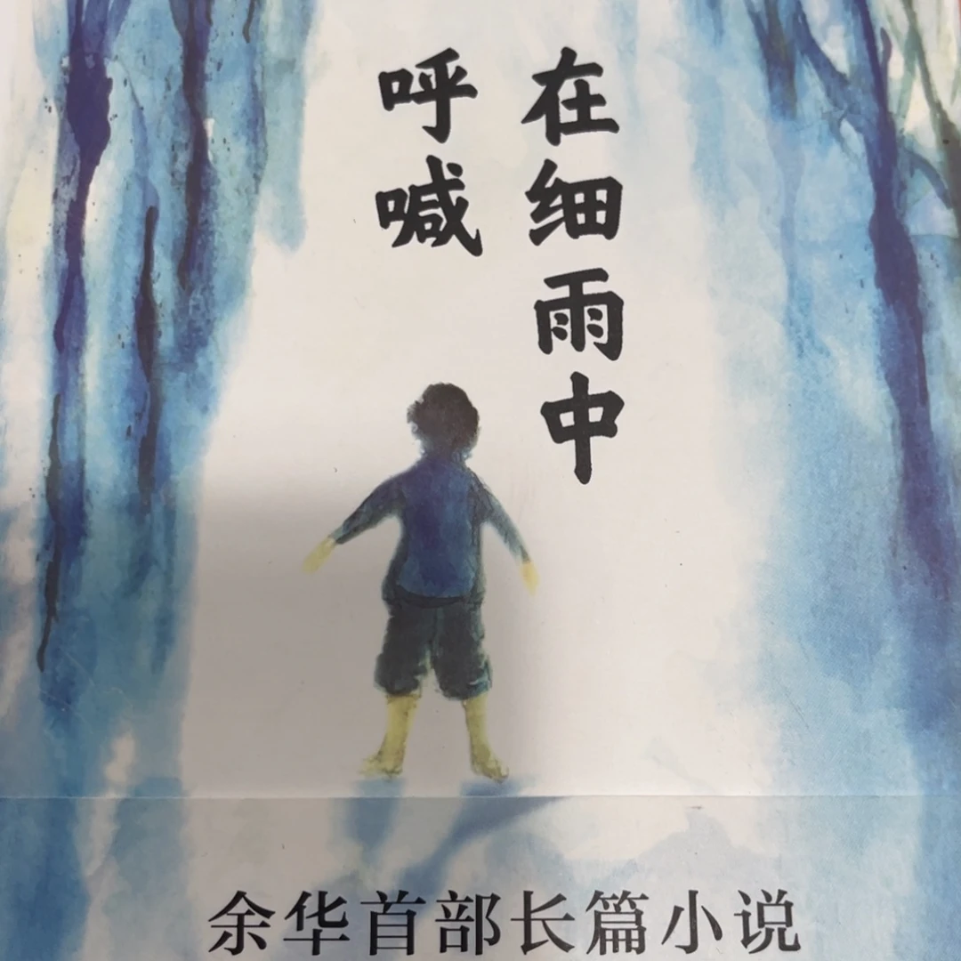 在细雨中呼喊精装