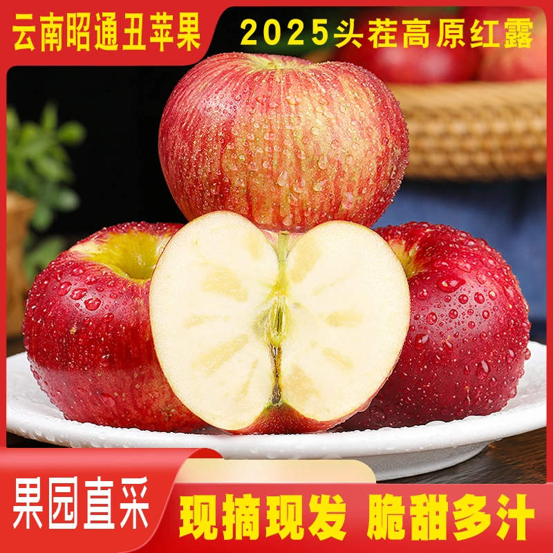 【顺丰-圆通次日达】2025现摘新果正宗云南昭通红露丑苹果当季新鲜水果脆甜多汁小苹果云南省