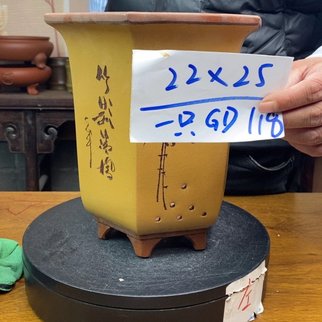 红陶货号一只GD118