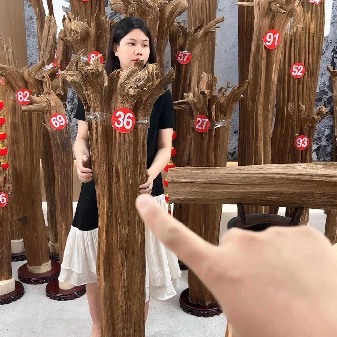 黄***彬沉香碎屑沉香天然沉香