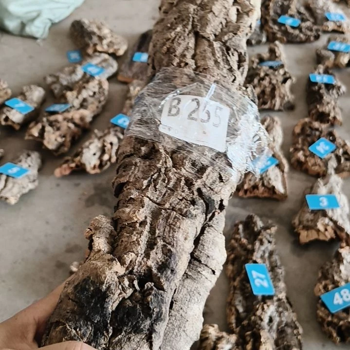 一物一拍一物一发