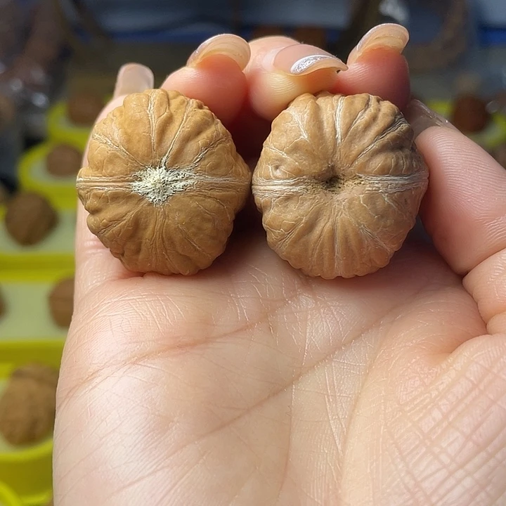 文玩核桃吊坠树纹