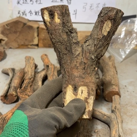 大果紫檀（缅甸花梨）青****烟