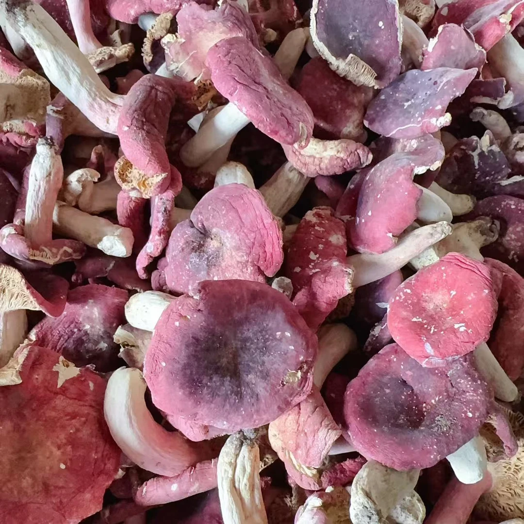 厚三角河南菜菇开菇 250g