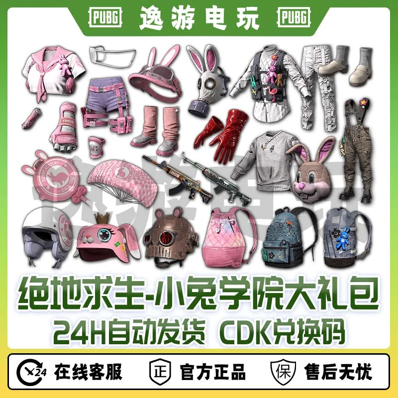 steam绝地求生PUBG皮肤兔学院套装CDK兑换码