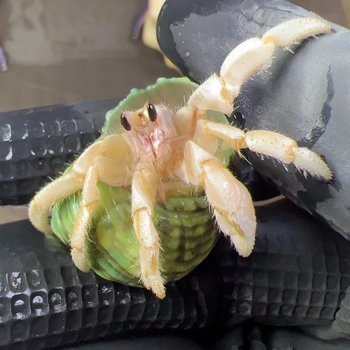 1.3口紫路紫路紫路