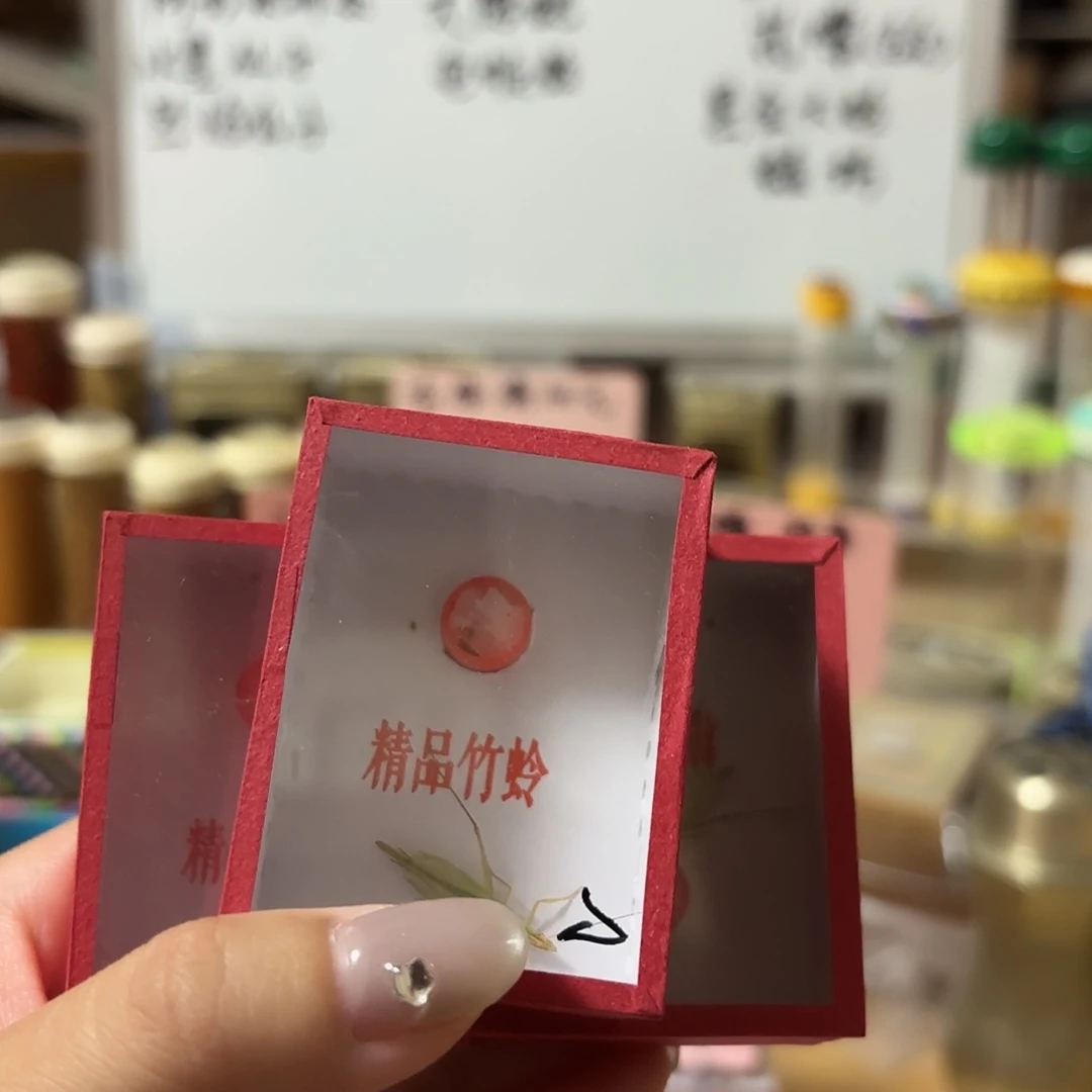 三条断须柬埔寨竹蛉