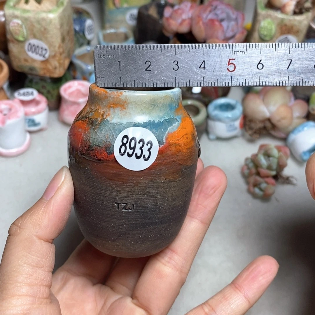 拍5送一个小礼物