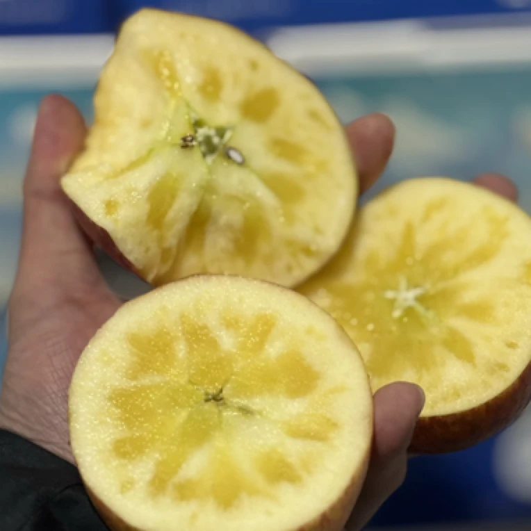 （蓝）藏域极物·布达拉宫·西藏苹果