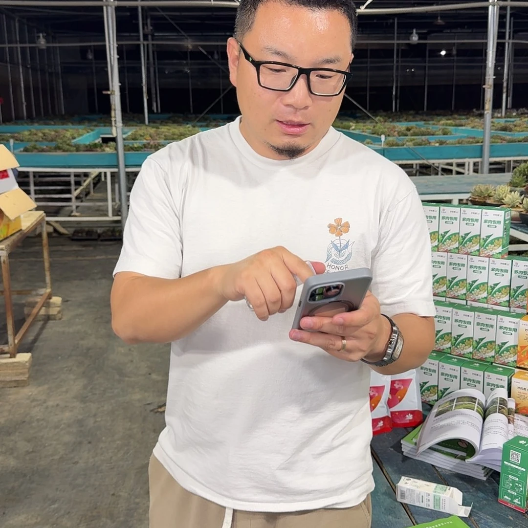 从前慢多肉编号小惊喜