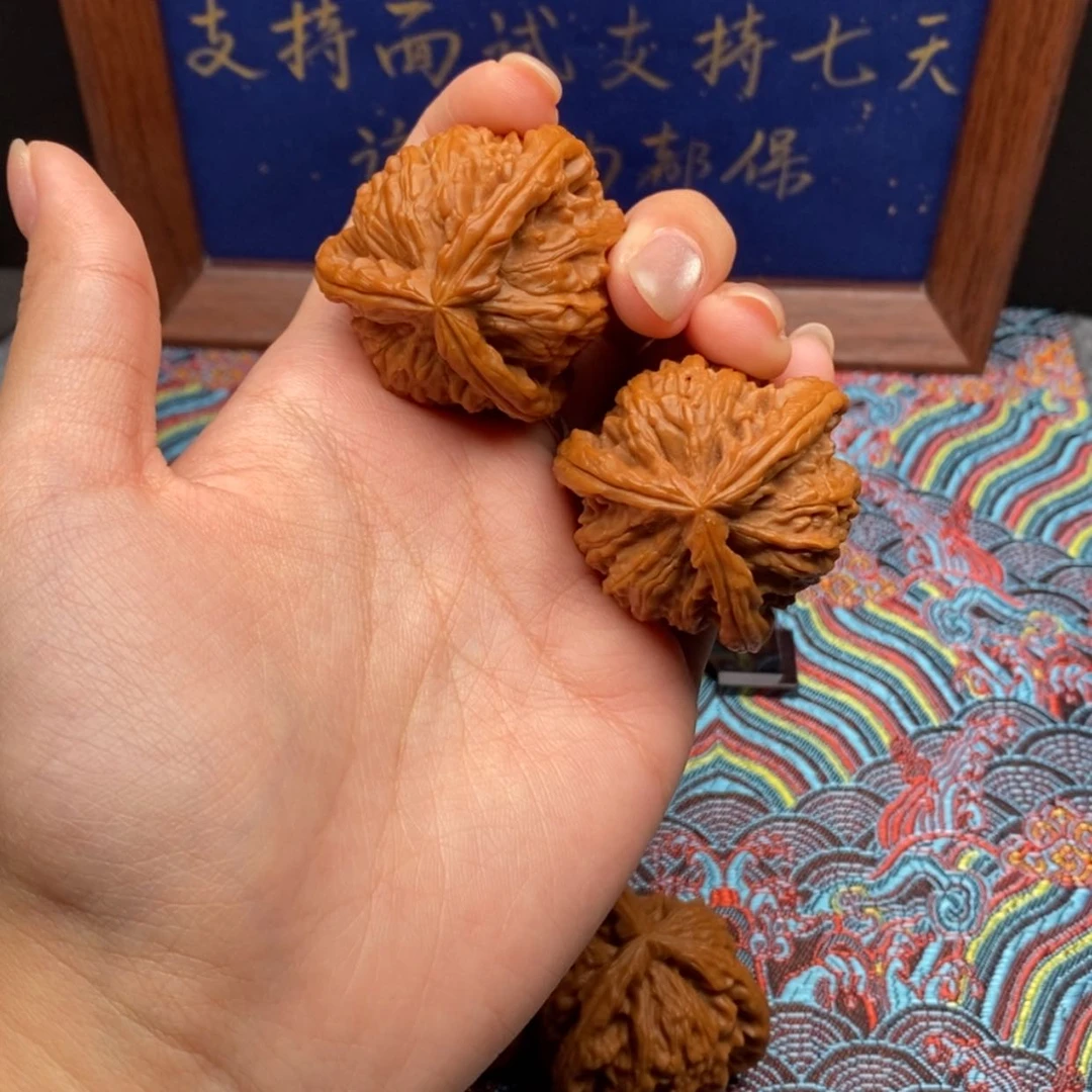 【闪购商品】村***傲白狮