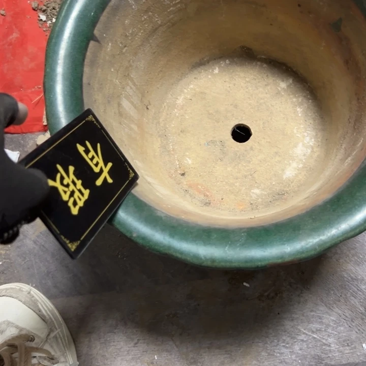 瓷片探*者拾六家的瓷器瓷器