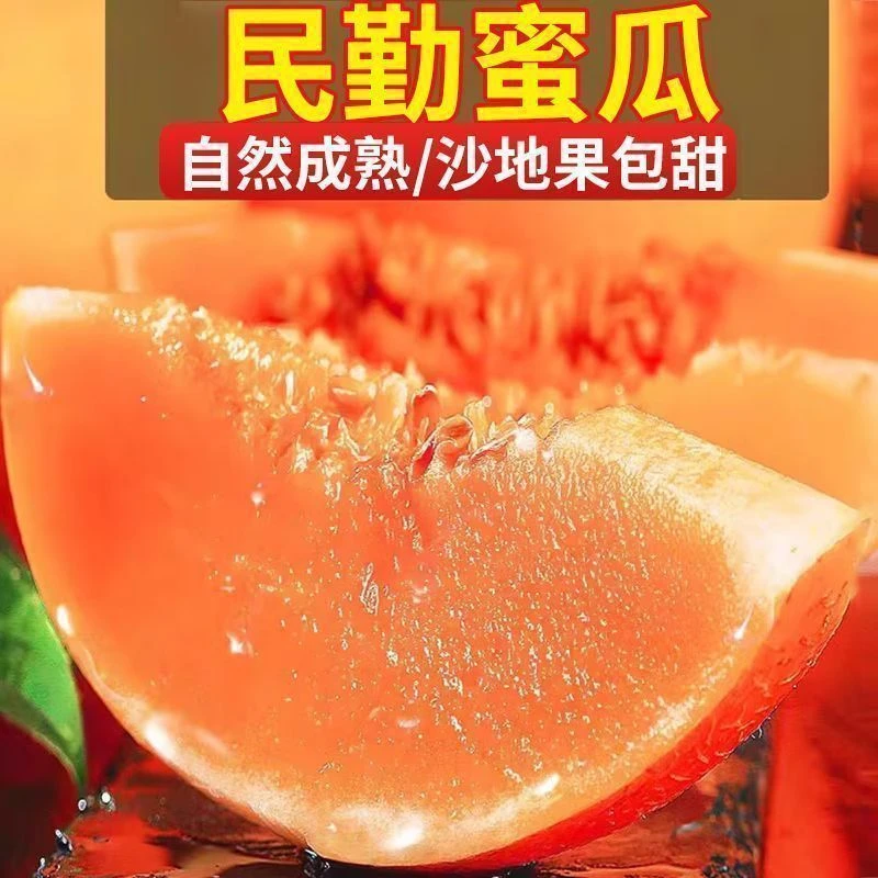 【果子2-5枚】正宗民勤蜜瓜香甜多汁甘肃民勤新鲜当季水果