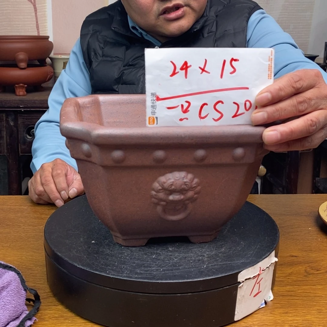 红陶货号一只CS201