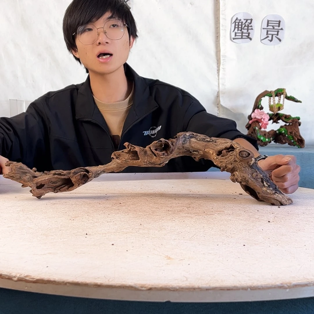 55.10.13 沉木造景爬宠造景