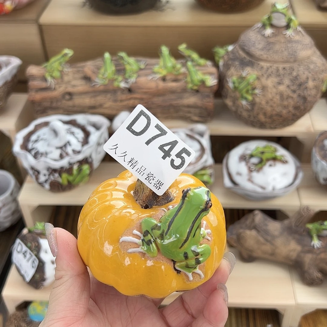 k****1闪购久久家的瓷器