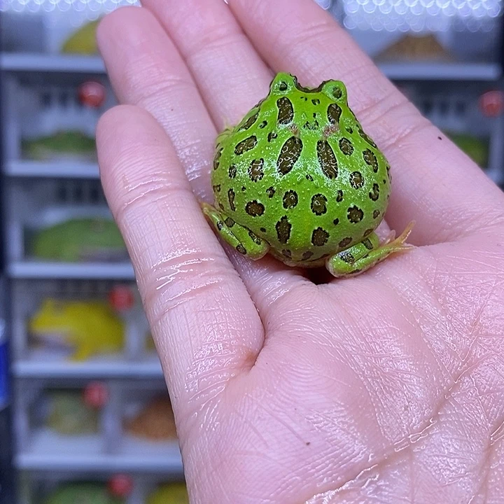 特价秒杀现货特价瑕疵