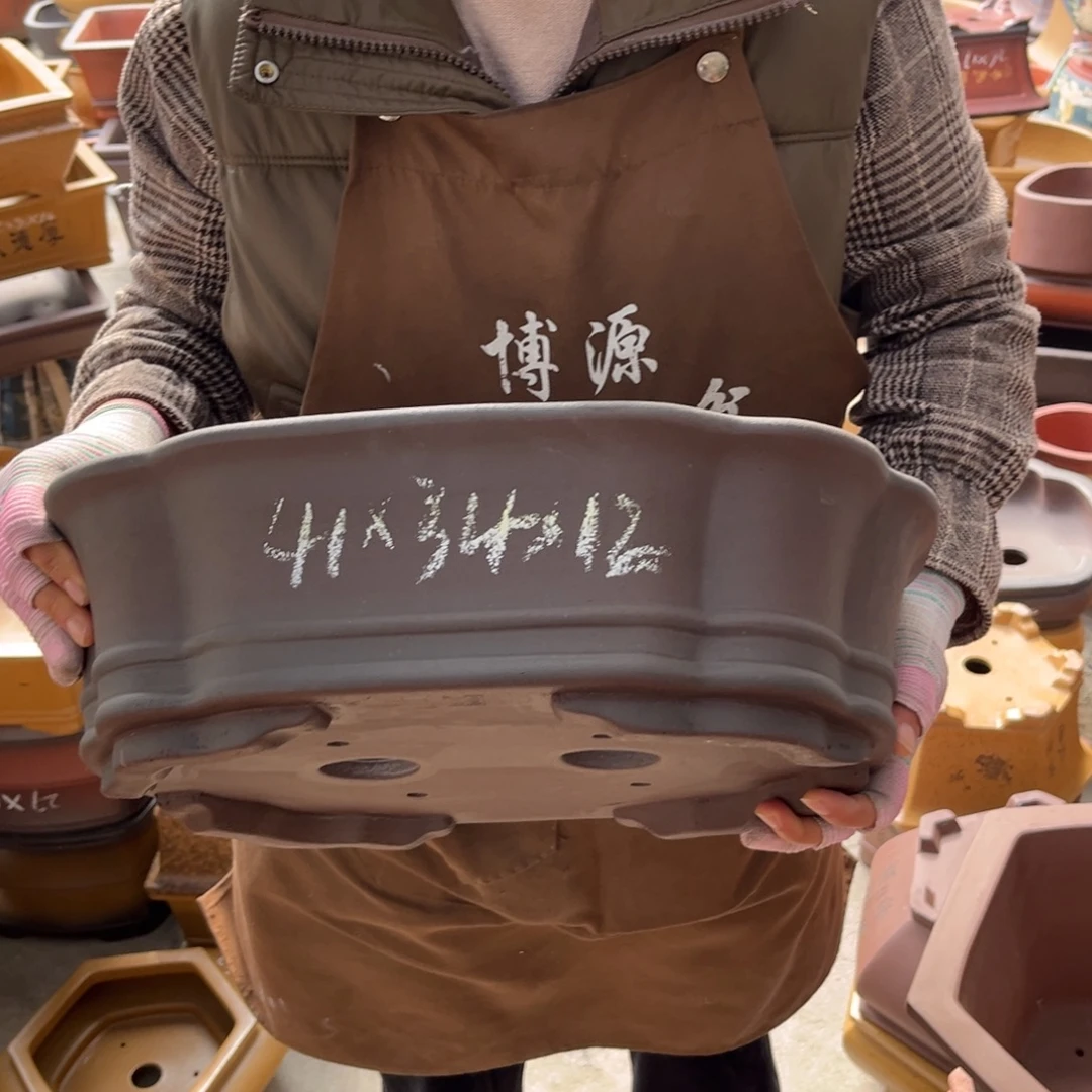 花盆紫砂盆景艺术