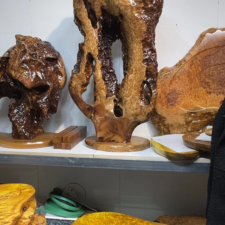 凯***迪黄金樟黄金樟摆件