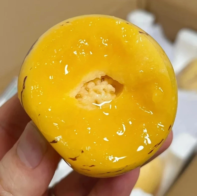 XS云南树上熟当季人参果黄果黄肉新鲜采摘云南特产整箱5斤