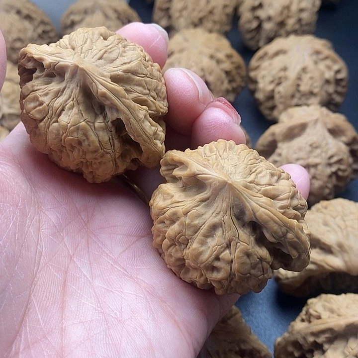 龙脊菩提吊坠官帽48
