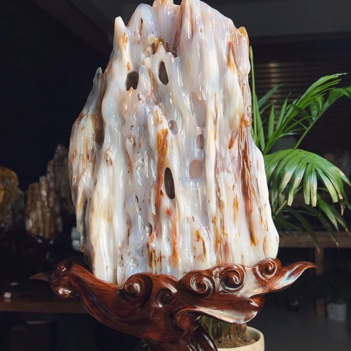 硅化玉（树化玉）未镶嵌珠宝奇石