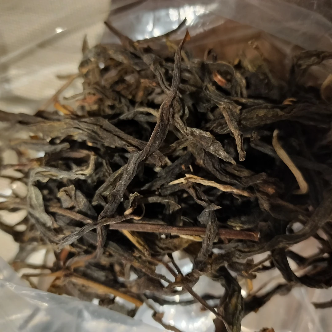 2021年那蕉古树    晒青毛茶