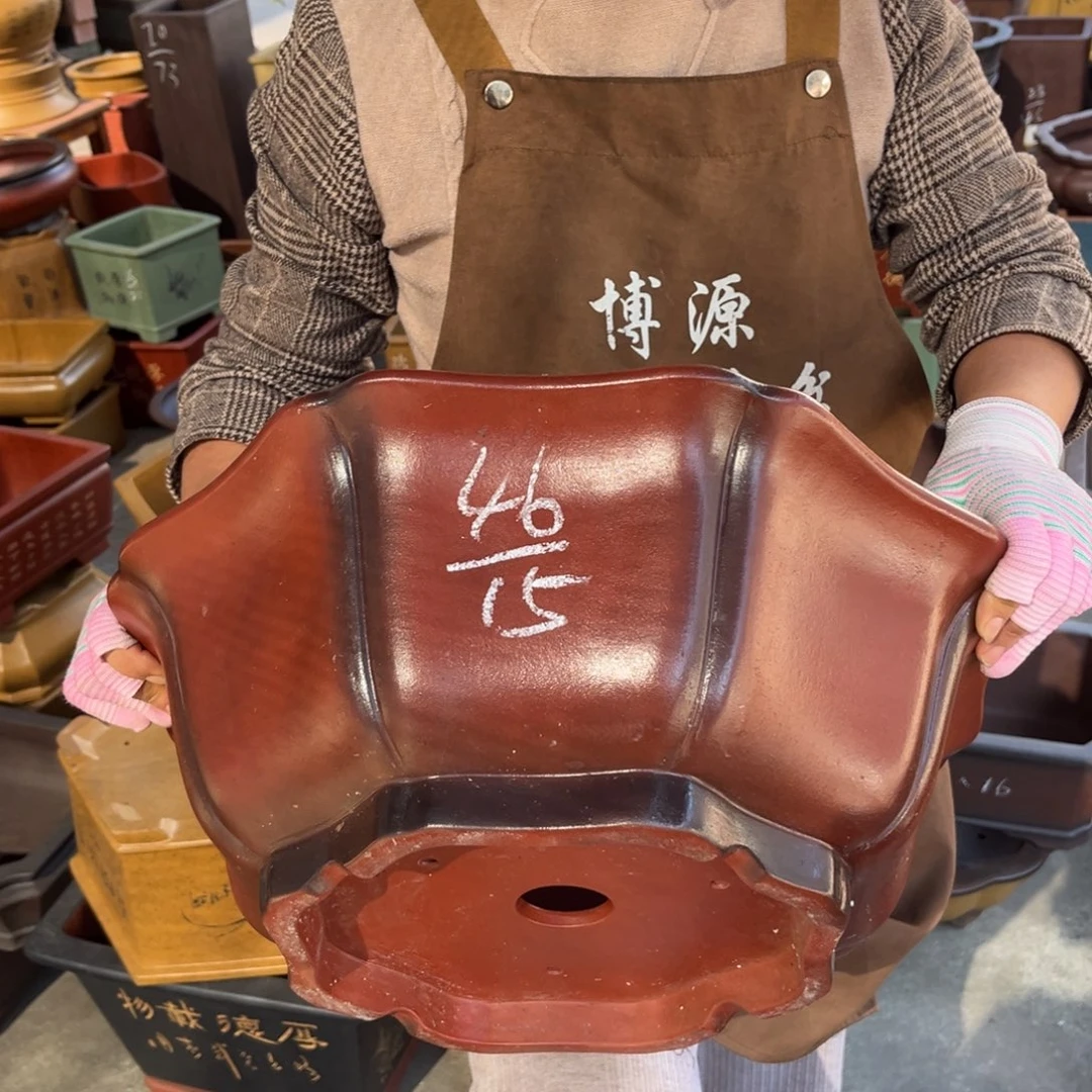 花盆紫砂盆景艺术