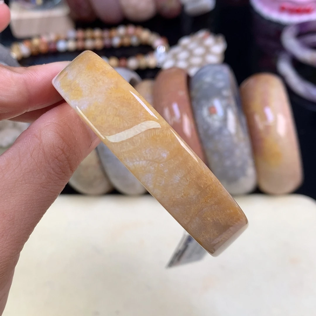【闪购商品】颈饰未镶嵌硅化珊瑚（珊瑚玉）86号龙骨53.2圈