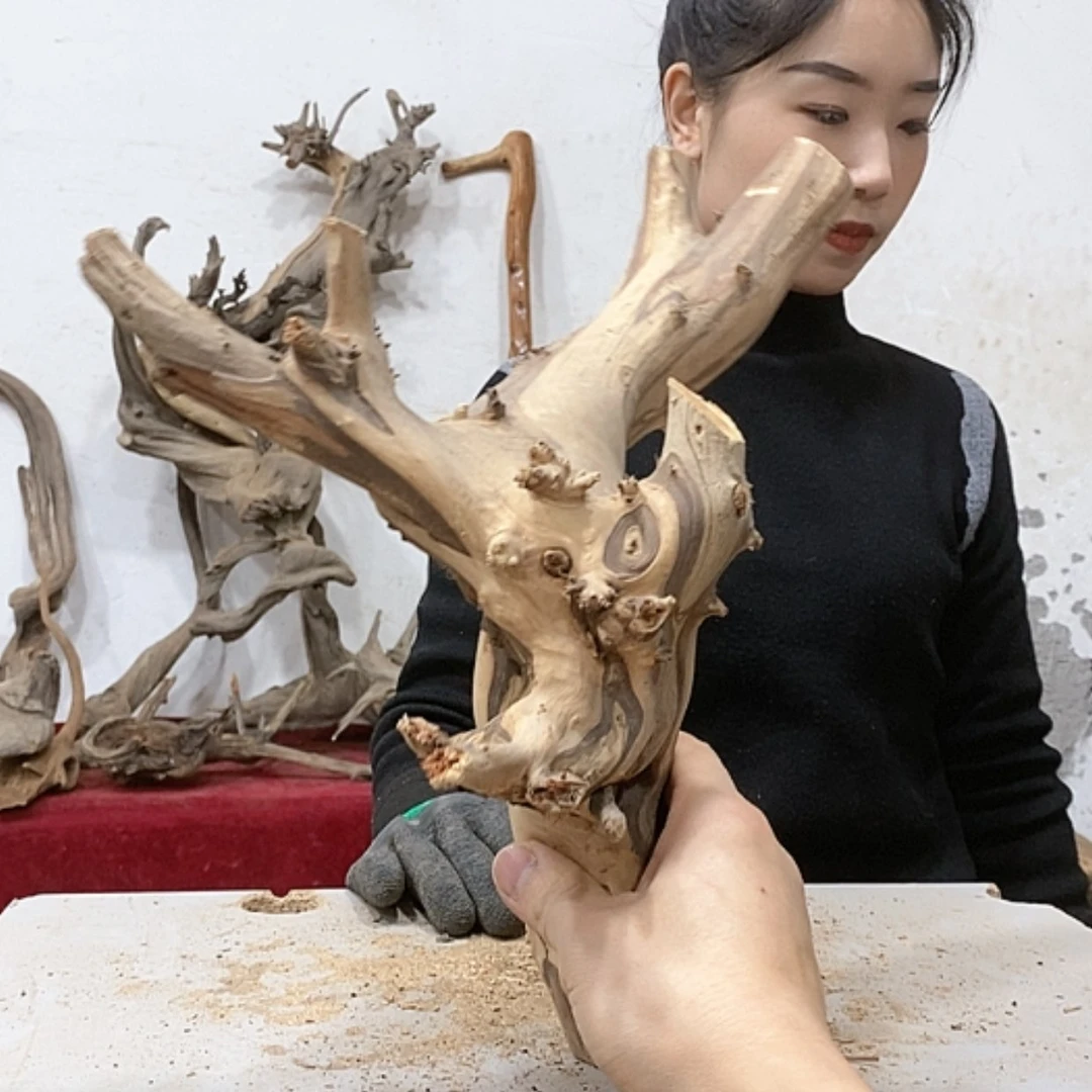 【闪购商品】柏木龙*我们都是好孩子