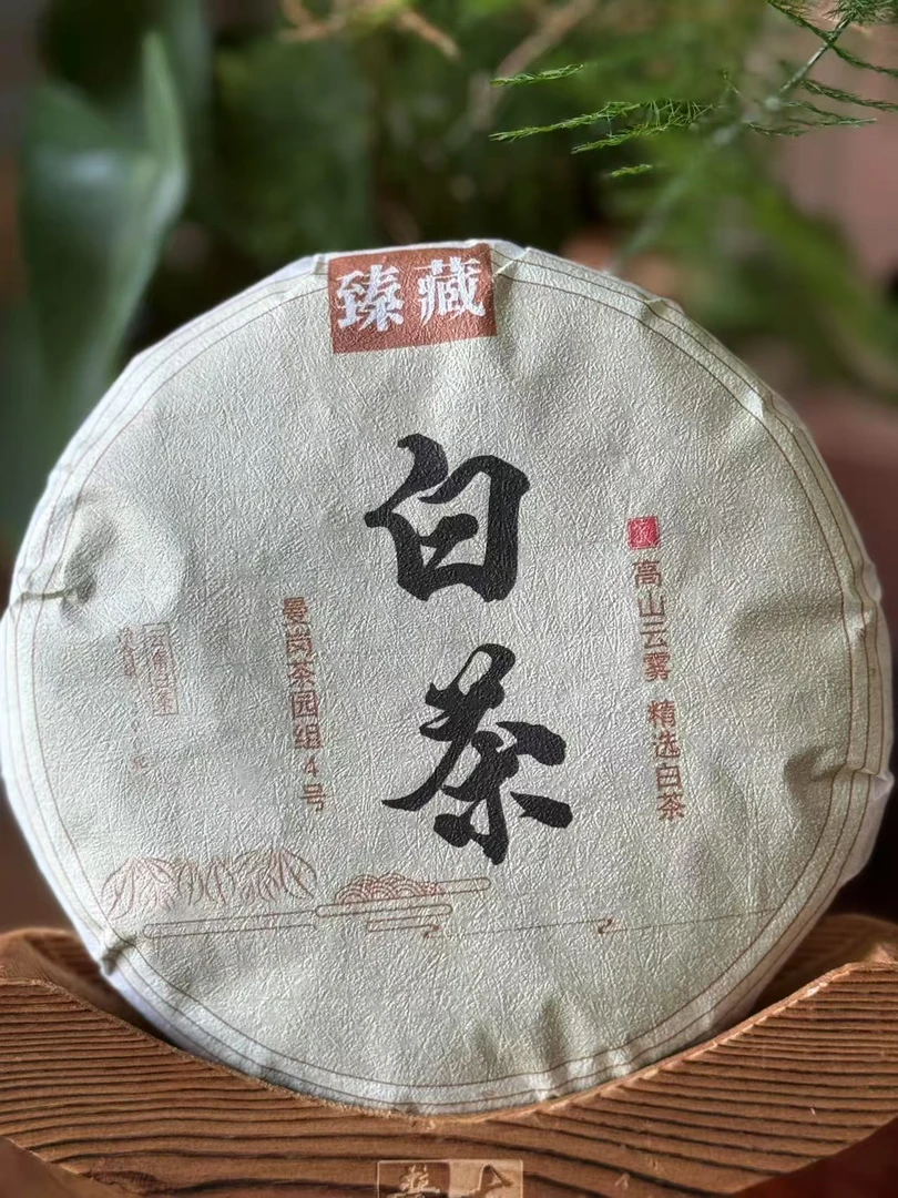 2025年曼岗白茶(紧压白茶)