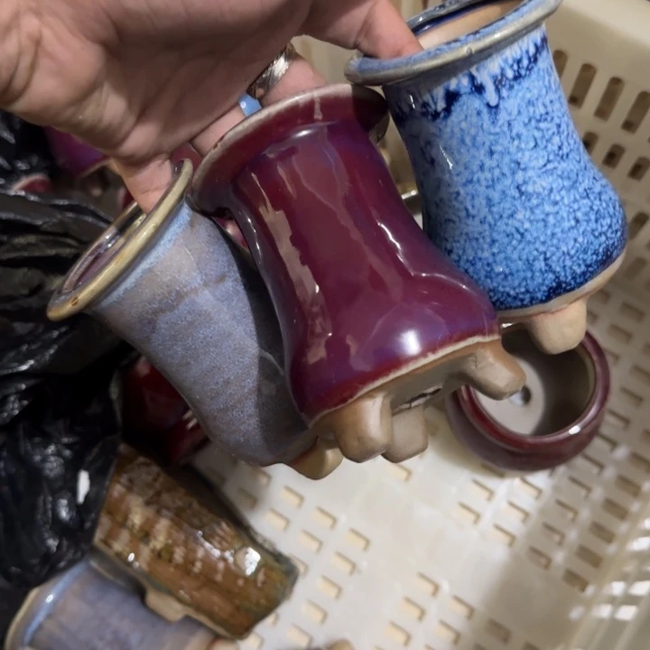 花盆花盆花盆花盆