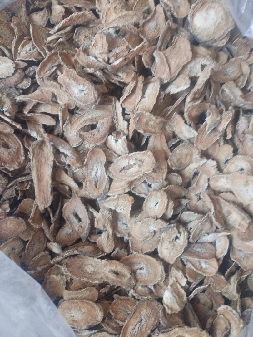 土特产≈[牛≈棒≈根]非香菇