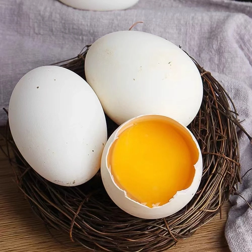 农家散养土鹅蛋 买6枚送6枚到手12枚 当天现捡现发 坏损包赔xc