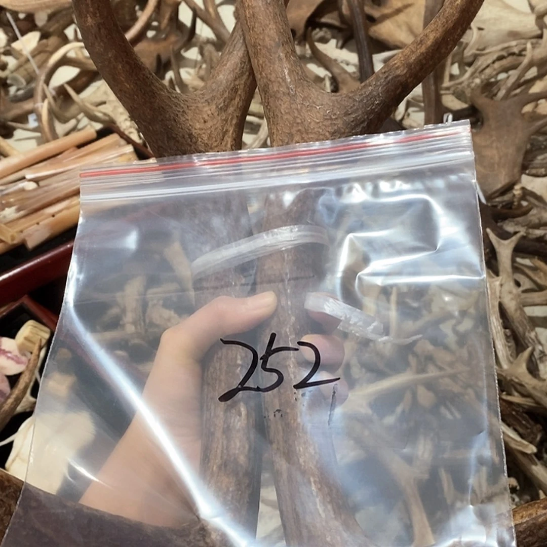 杨*标鹿角鹿角鹿角鹿角