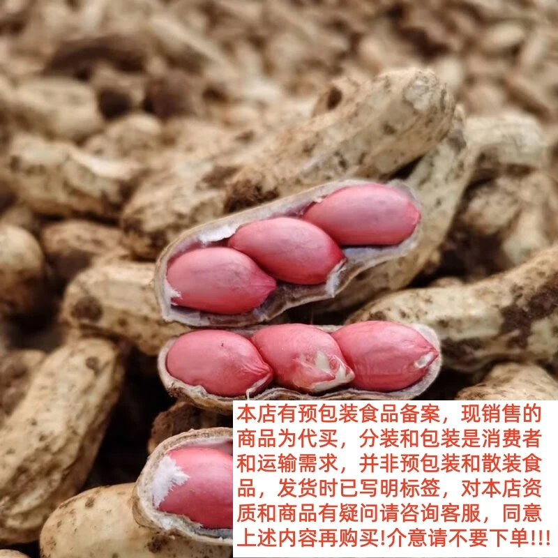 【小刘村长】 农家特产代收山货带壳红皮干花生