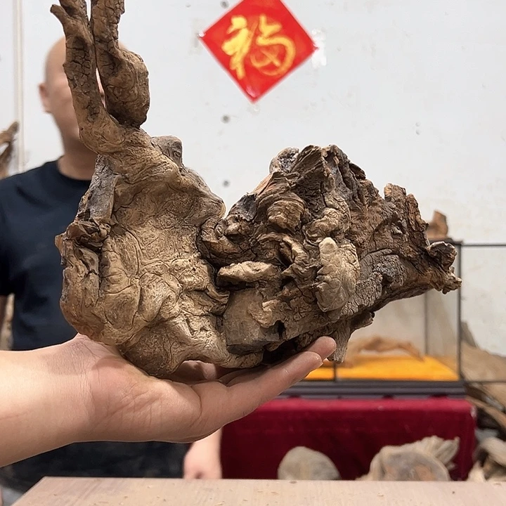 柏木悠****5我们的生活是以自己为中心而