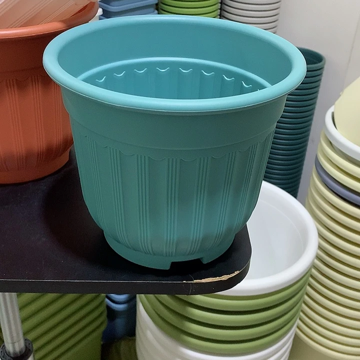 罗马口21蓝4个无托