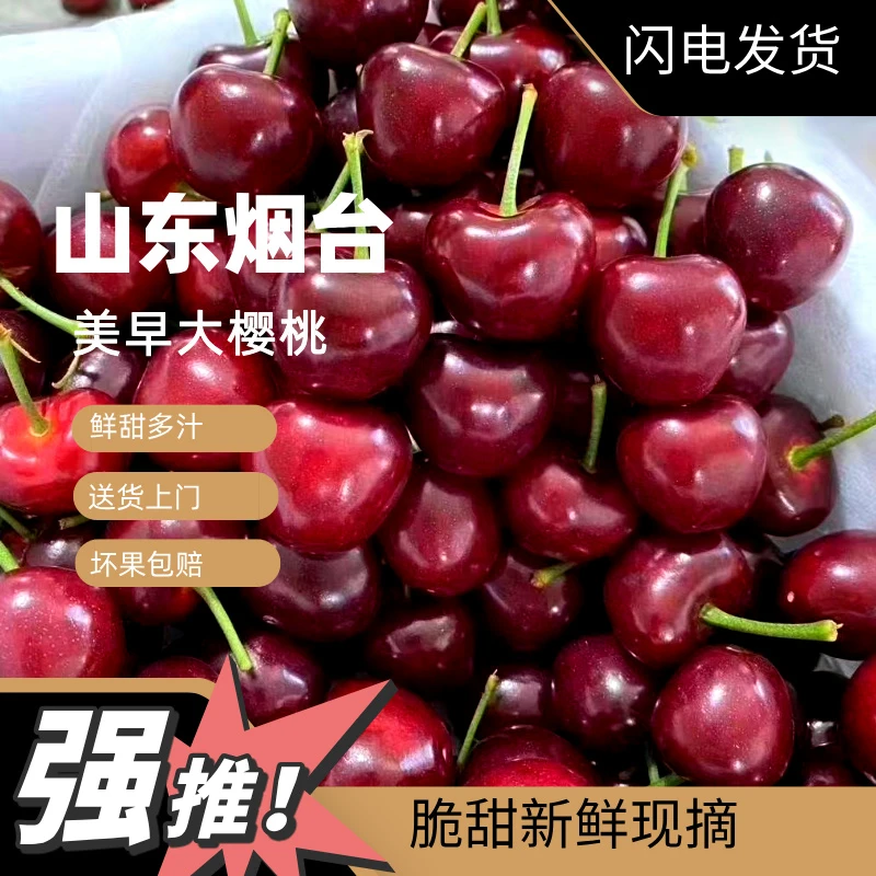 28-30mm±2【头茬现摘】山东烟台2J-5J美早樱桃空运2斤