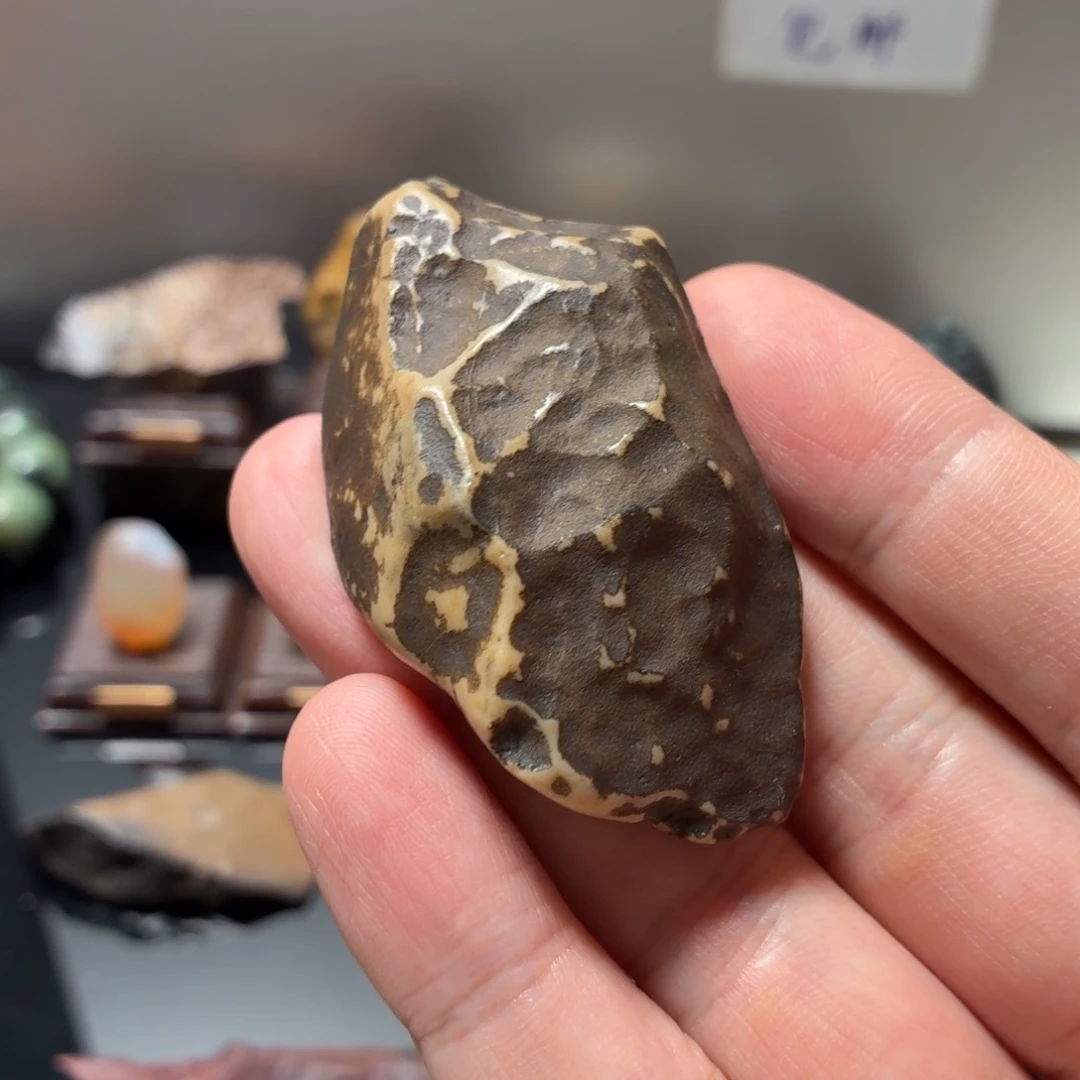 4号 包邮 不含底座的