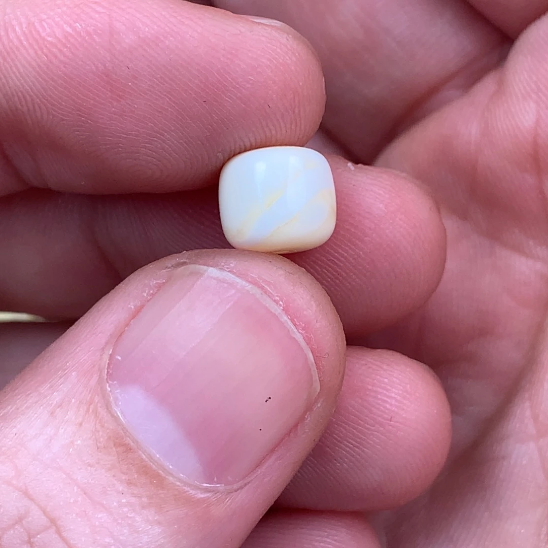 琥珀裸石未镶嵌G****?蜜蜡